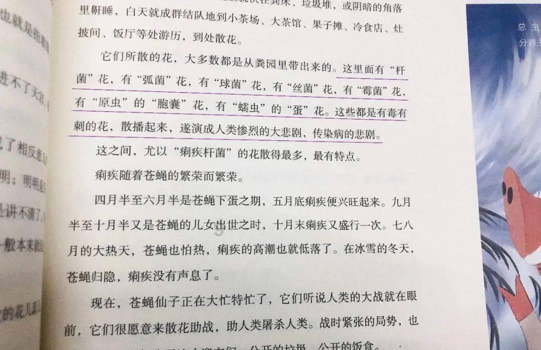 小猫钓鱼开船版最新版下载
